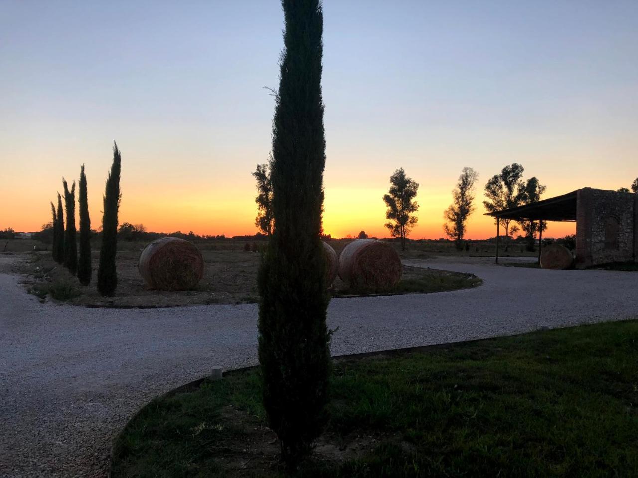 Fattoria L'Olmetto Villa Pisa Buitenkant foto