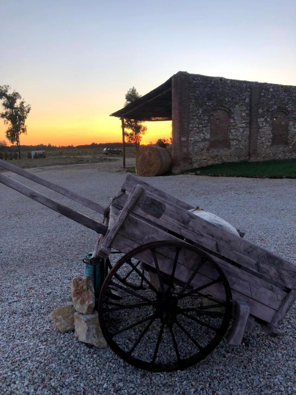 Fattoria L'Olmetto Villa Pisa Buitenkant foto