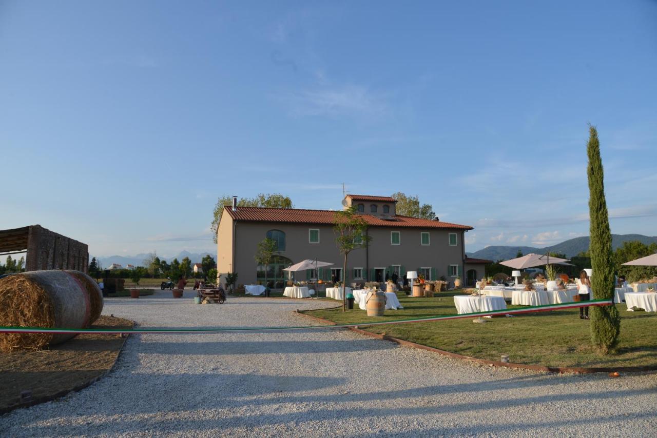 Fattoria L'Olmetto Villa Pisa Buitenkant foto