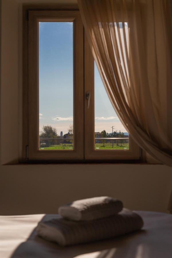 Fattoria L'Olmetto Villa Pisa Buitenkant foto