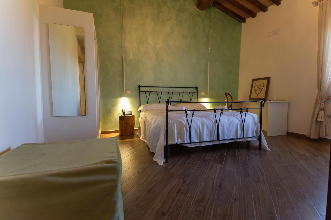 Fattoria L'Olmetto Villa Pisa Buitenkant foto